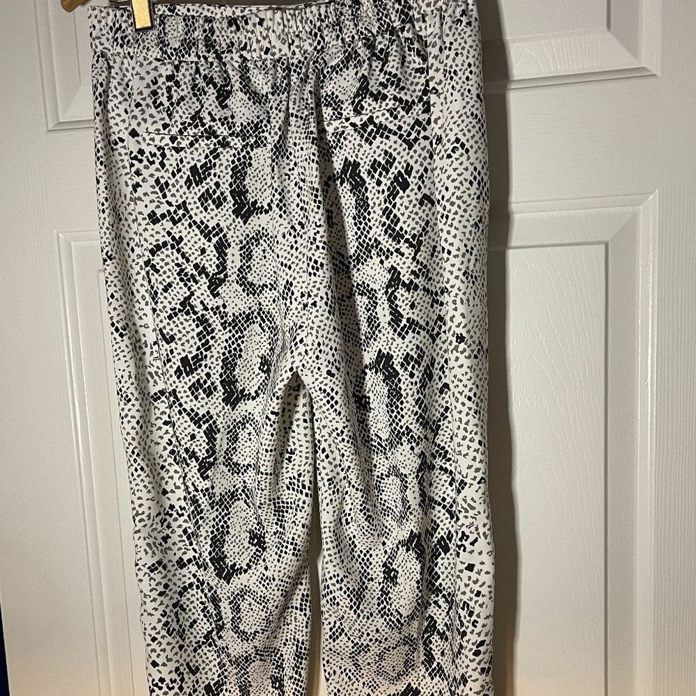 Unique!!!! Jcrew Pants! - image 4
